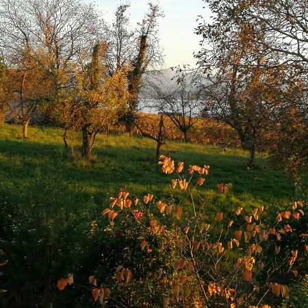 Haus Meersburg Garten Bagian luar foto