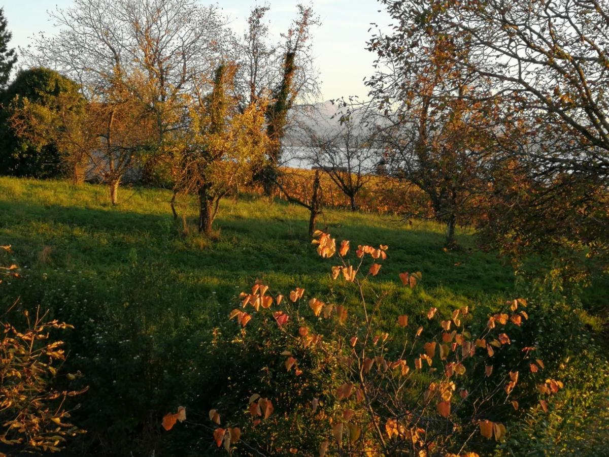 Haus Meersburg Garten Bagian luar foto