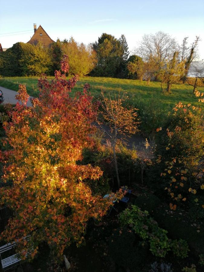Haus Meersburg Garten Bagian luar foto