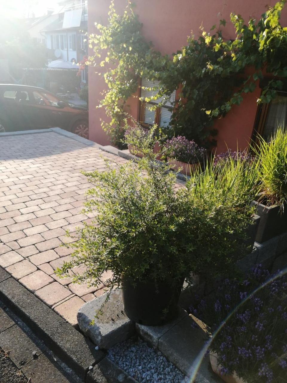 Haus Meersburg Garten Bagian luar foto