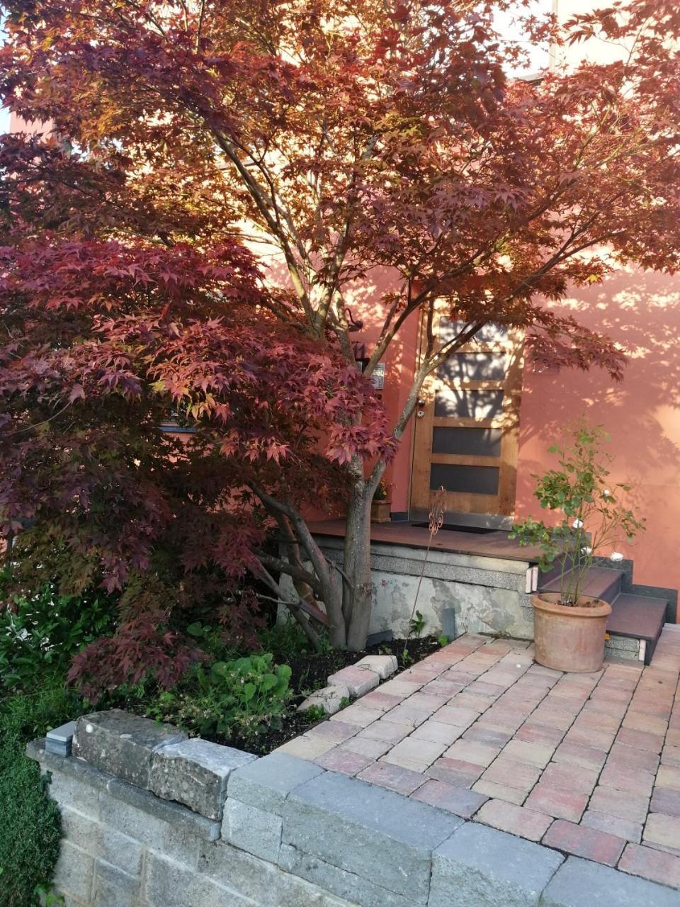 Haus Meersburg Garten Bagian luar foto
