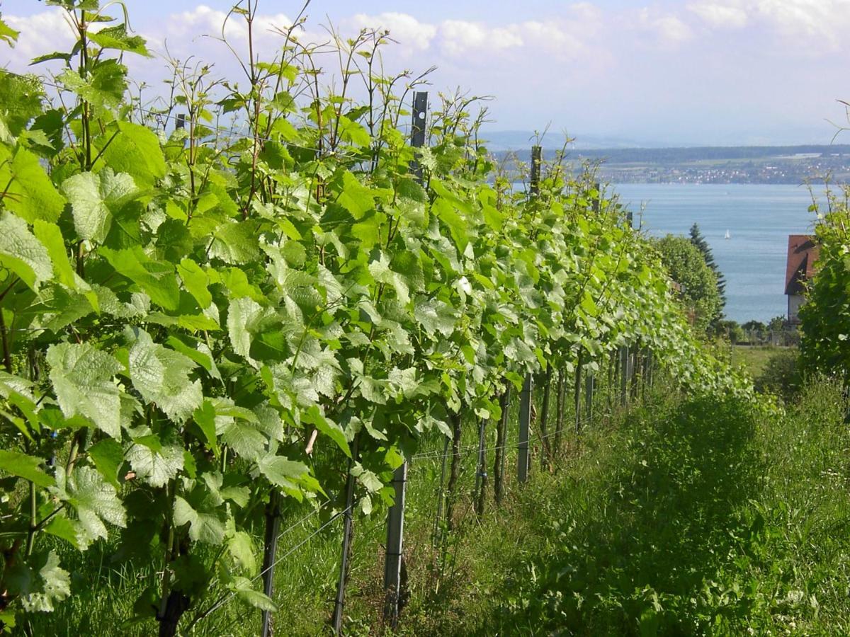 Haus Meersburg Garten Bagian luar foto