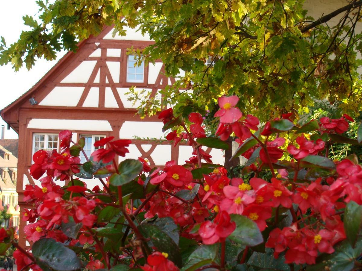 Haus Meersburg Garten Bagian luar foto